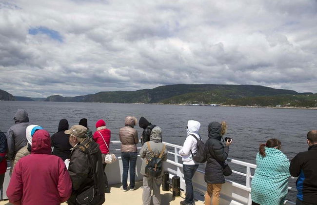 Giro in barca con avvistamento di balene - Foto 7