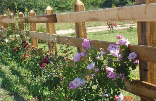 Aroggia Farm - Foto 39