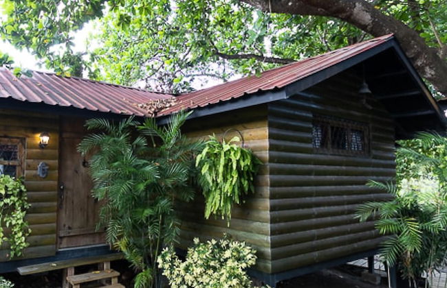 Quinta Pavo Real Complex by Acomodo - Foto 47