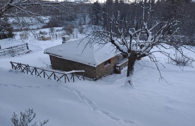 Agriturismo La Casina della Burraia - Photo 46