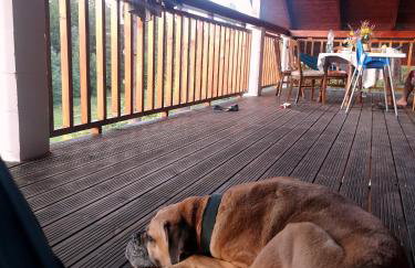 Bezkresne- Domy w Sidorach - Foto 49