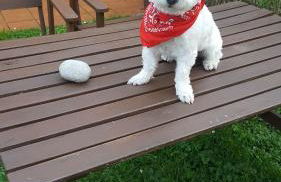 Fancornio Rural - Photo 9