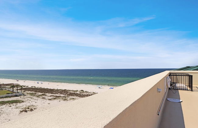 The Vue 4B - Harvesting Sunshine III - Foto 65