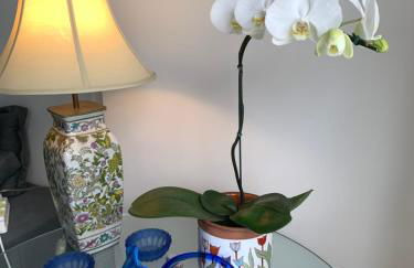 Apartamento Boutique - Foto 21