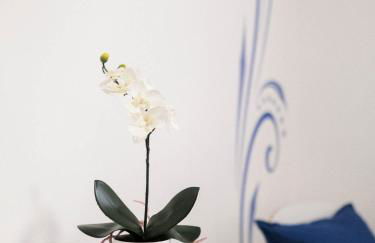 Cazenn Nazaré - Apartment Z - Foto 6