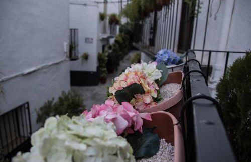 Cazorla Rural - Foto 57