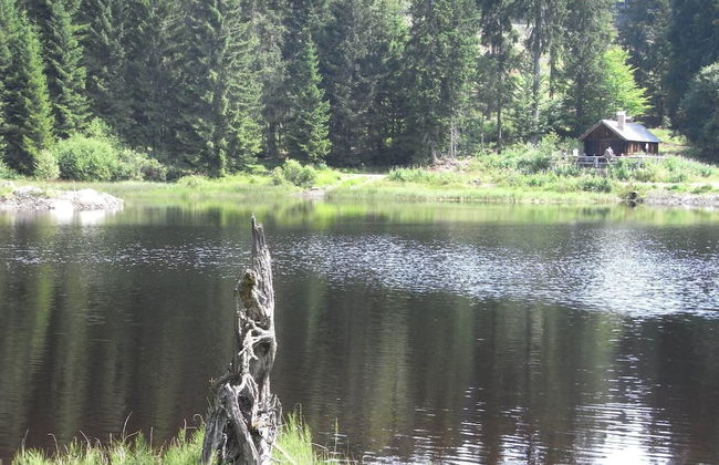 Ferienhaus Mitterdorf - Foto 36