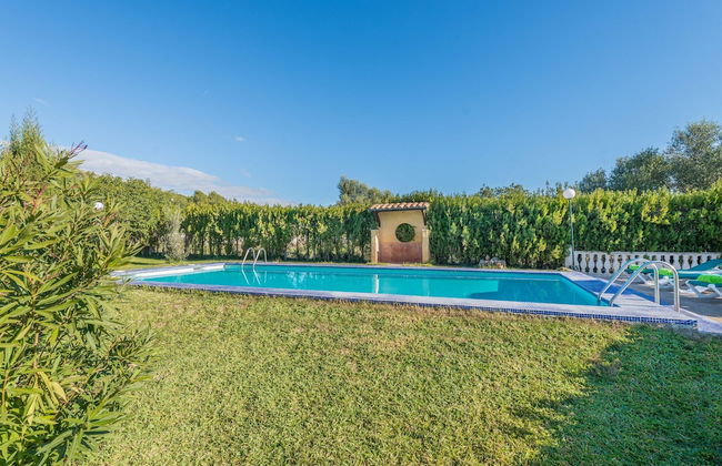 Hibiscus in Sa Pobla - Foto 4