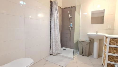 Charming 45m in Sarrola carcopino - Foto 5