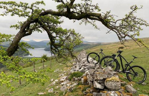 Bee Hive Merthyr Tydfil - Photo 16