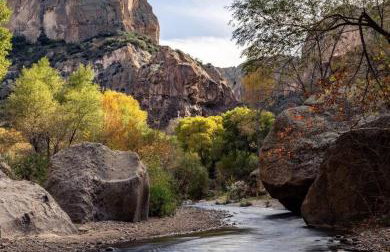 River Haven - Hayden Near the River - Photo 20