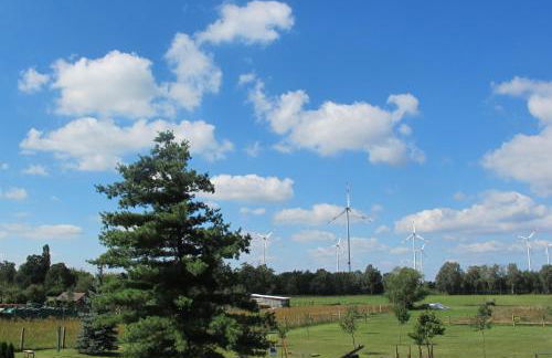 Ferienwohnungen Pustane - Foto 21