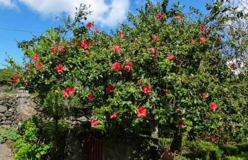 Quinta do Espírito Santo - Photo 36