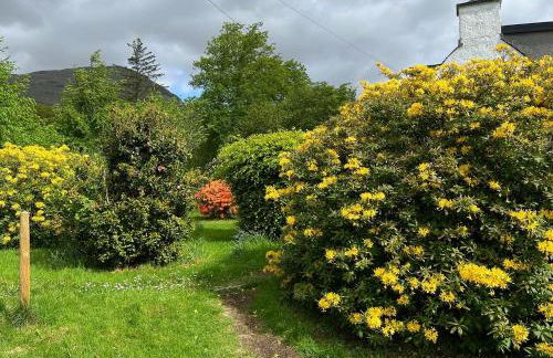 Croft 11 Clovullin - Photo 21