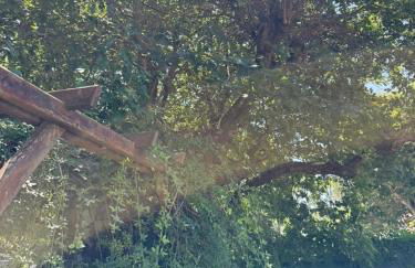 La Maison de la forêt - Foto 27