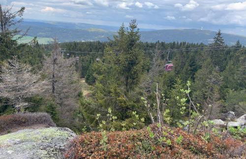 Schöne Ferienwohnung in Schauenstein-Hof im Frankenwald mit Loggia 100qm - Foto 47