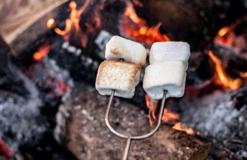 Delightful Guest House Cabin in the Adirondacks - Foto 7