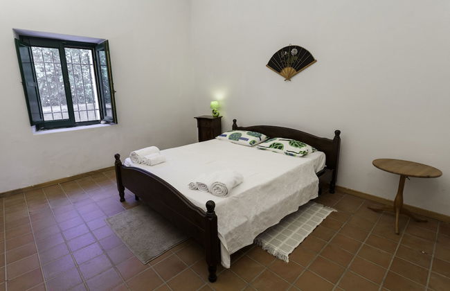 Agricontura - Foto 5