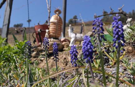 Casa da Quinta do Porto - Foto 24