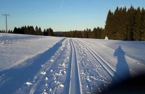 Small and Cozy Apartment in Frauenwald near Forest - Foto 52