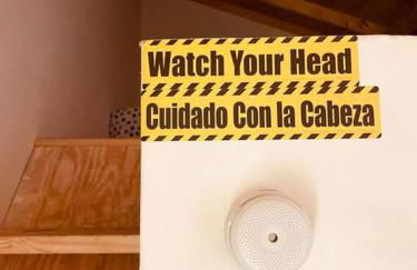 Bienvenidos a la Pequeña Selva de Legnalife - Foto 28