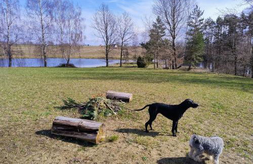 Domek Letniskowy ZŁOTY KARAŚ - Foto 6