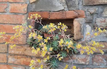 Agriturismo Il Truffarello TODI - Photo 25