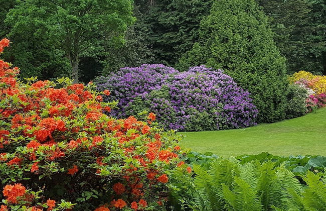 Lakefront Gem in Skarrild - By Traum Ferienwohnungen - Foto 29