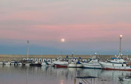 Vera Sol y Mar - Naturist Zone - Foto 27