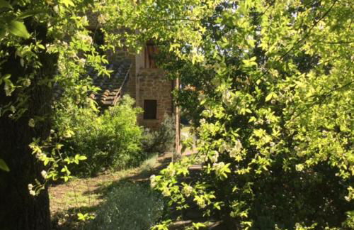 La Berchiera - Foto 20