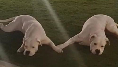 Cozy apartment in Nea Kios - Foto 2