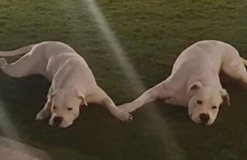 Cozy apartment in Nea Kios - Foto 2