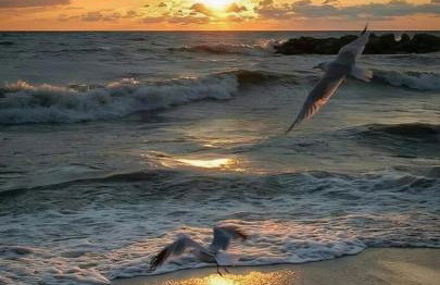 "Summer Winds" at Sunglow Resorts with Spectacular Ocean Views - Foto 24