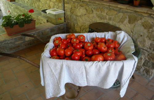 Fattoria Giunasco - Foto 116