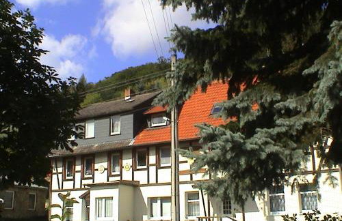 Ferienwohnungen mit Wellnessoase in Thale OT Altenbrak - Foto 2