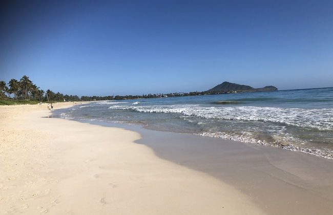 Gorgeous Renovated 1937 Plantation Style Beach House 50 Steps To The Center Of The Beach 5 Bedroom Home by RedAwning - Foto 59