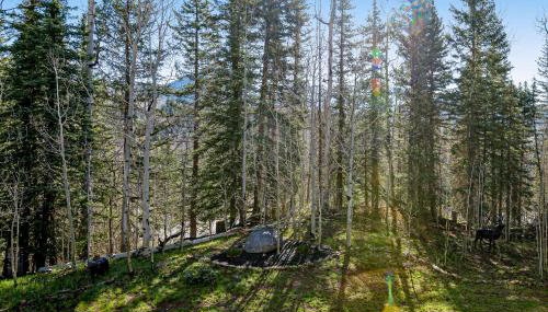 Cascade 347 - Foto 2