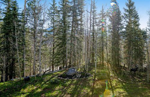 Cascade 347 - Foto 2