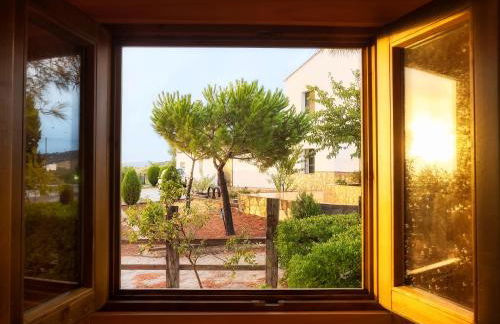 Cortijo señora de las Angustias 2 - Foto 9