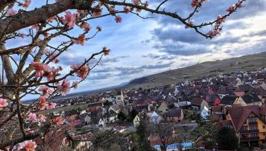 Le Haut Standing - Photo 4