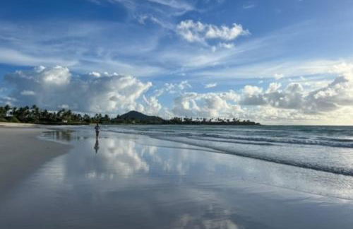 Your Perfect Home Charming 2BR2BA Apartment with Full Kitchen WD & AC - Photo 40