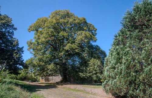 Logis des Tilleuls - Foto 22