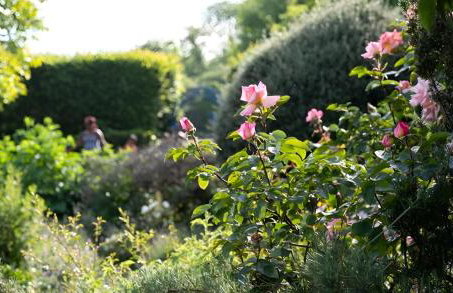 The Ultimate Hangout 4BR Modern House with Garden - Photo 32