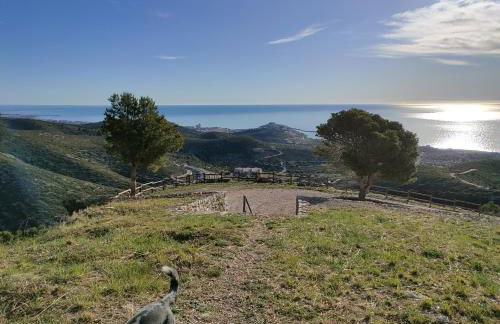 Casa tranquila en Peñíscola - Photo 5