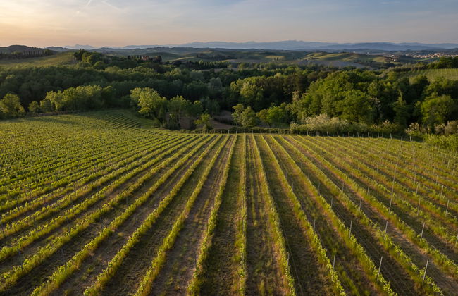 Villa Oliva - Foto 45