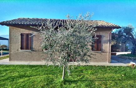 Agriturismo La Rosa Montefalco - Foto 11