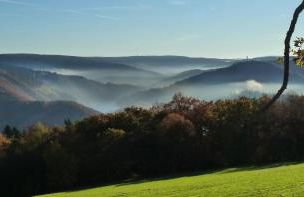 Fewo Eifel Eichen - Foto 51