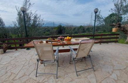 homonatura petrinum - Foto 14