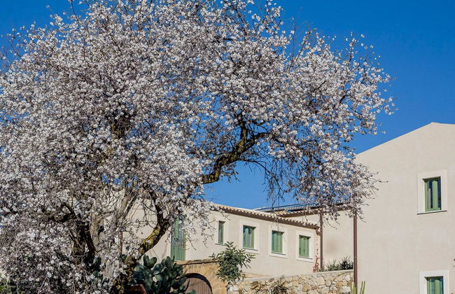 Fontes Episcopi - Foto 16