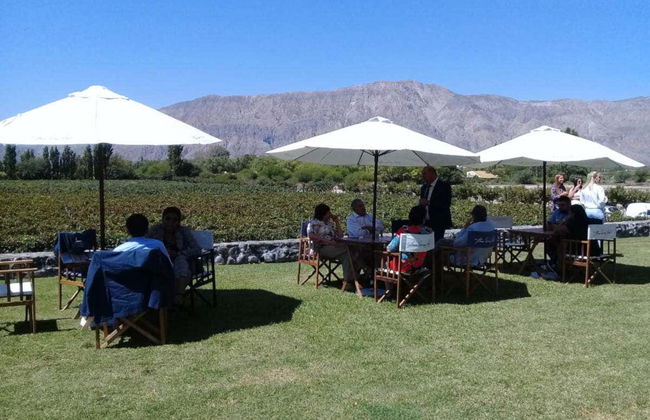 Tour delle vigne e delle cantine di San Juan - Foto 3